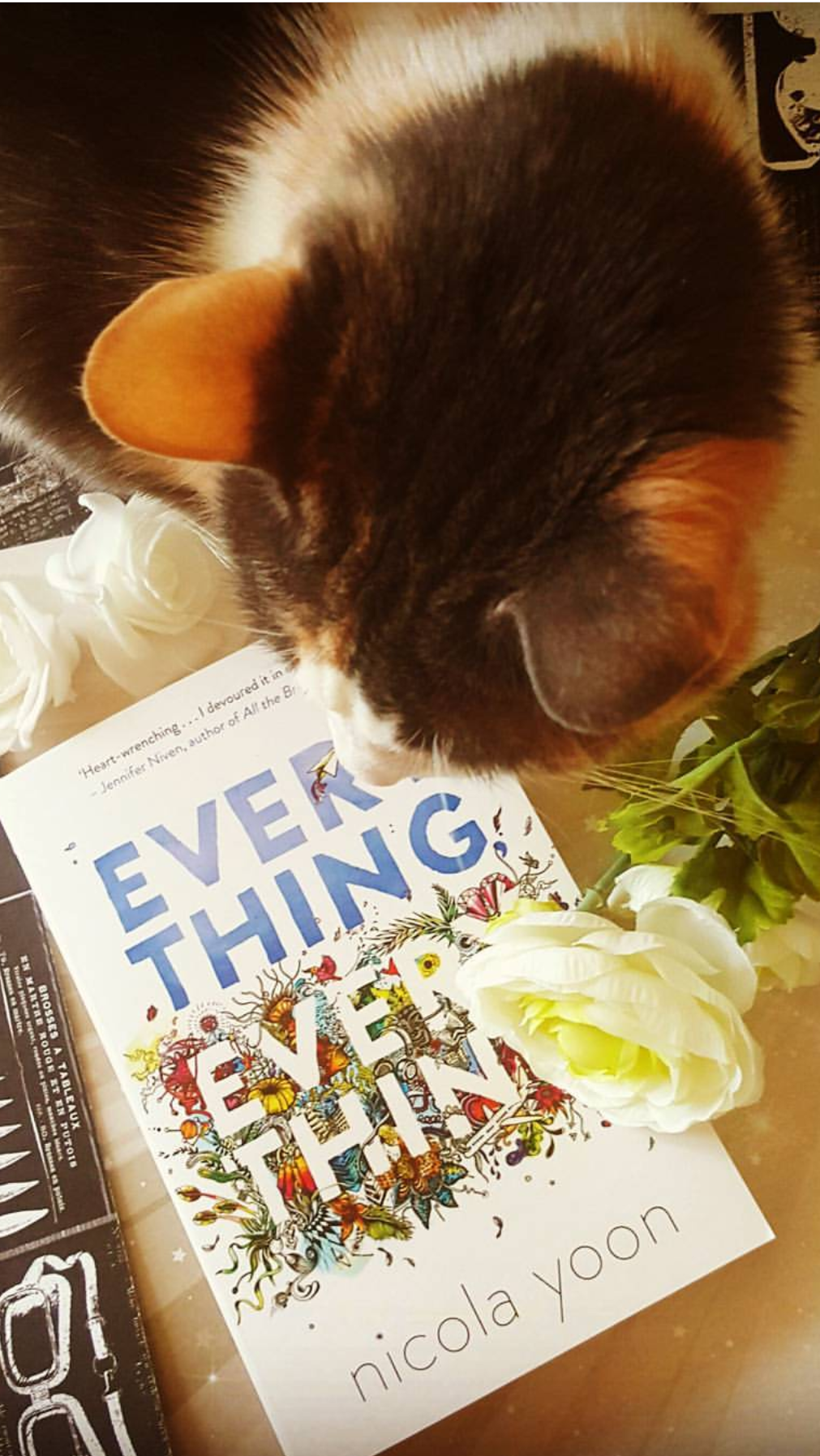 Everything Everything ***