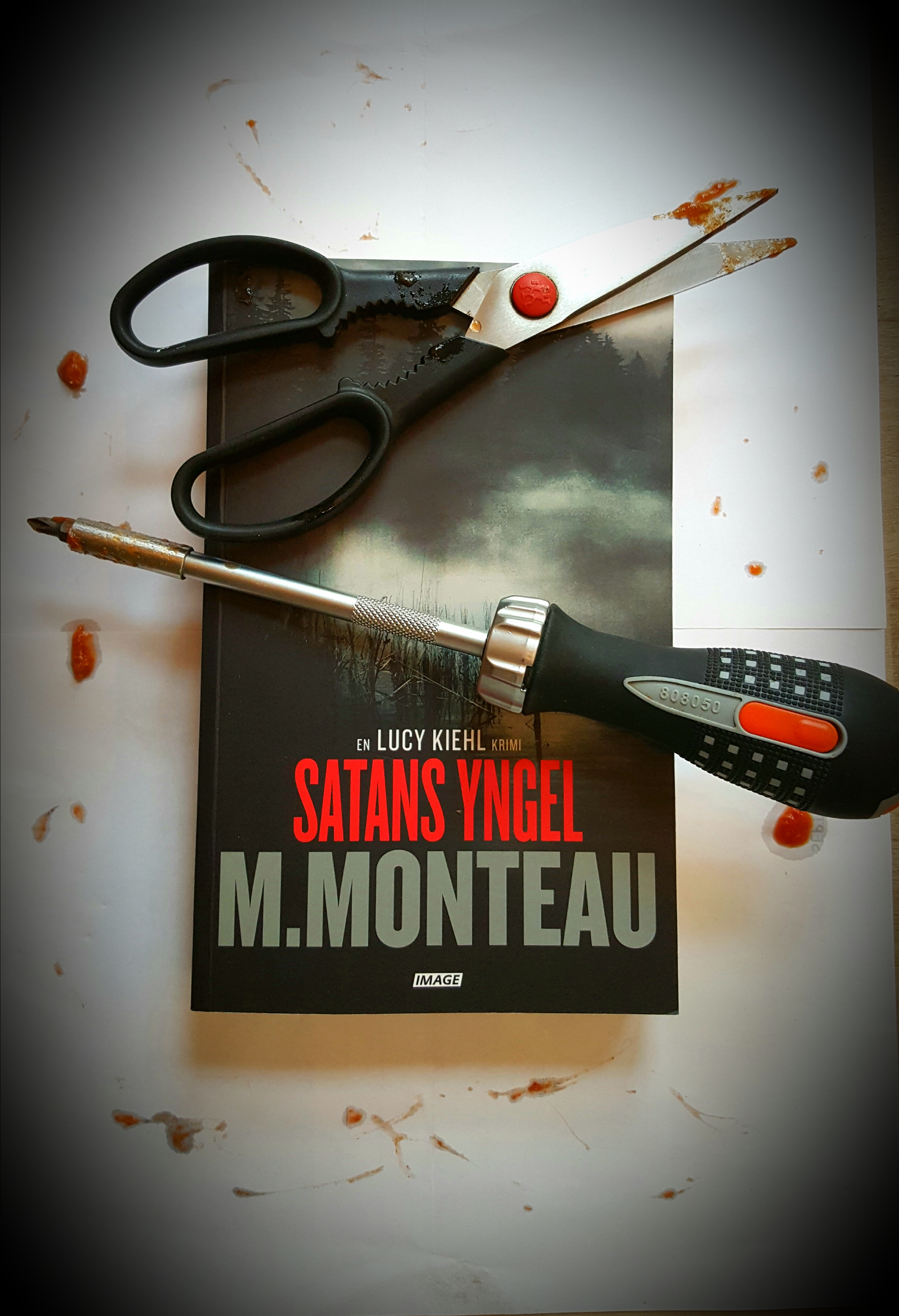 Satans yngel af Marianne Monteau