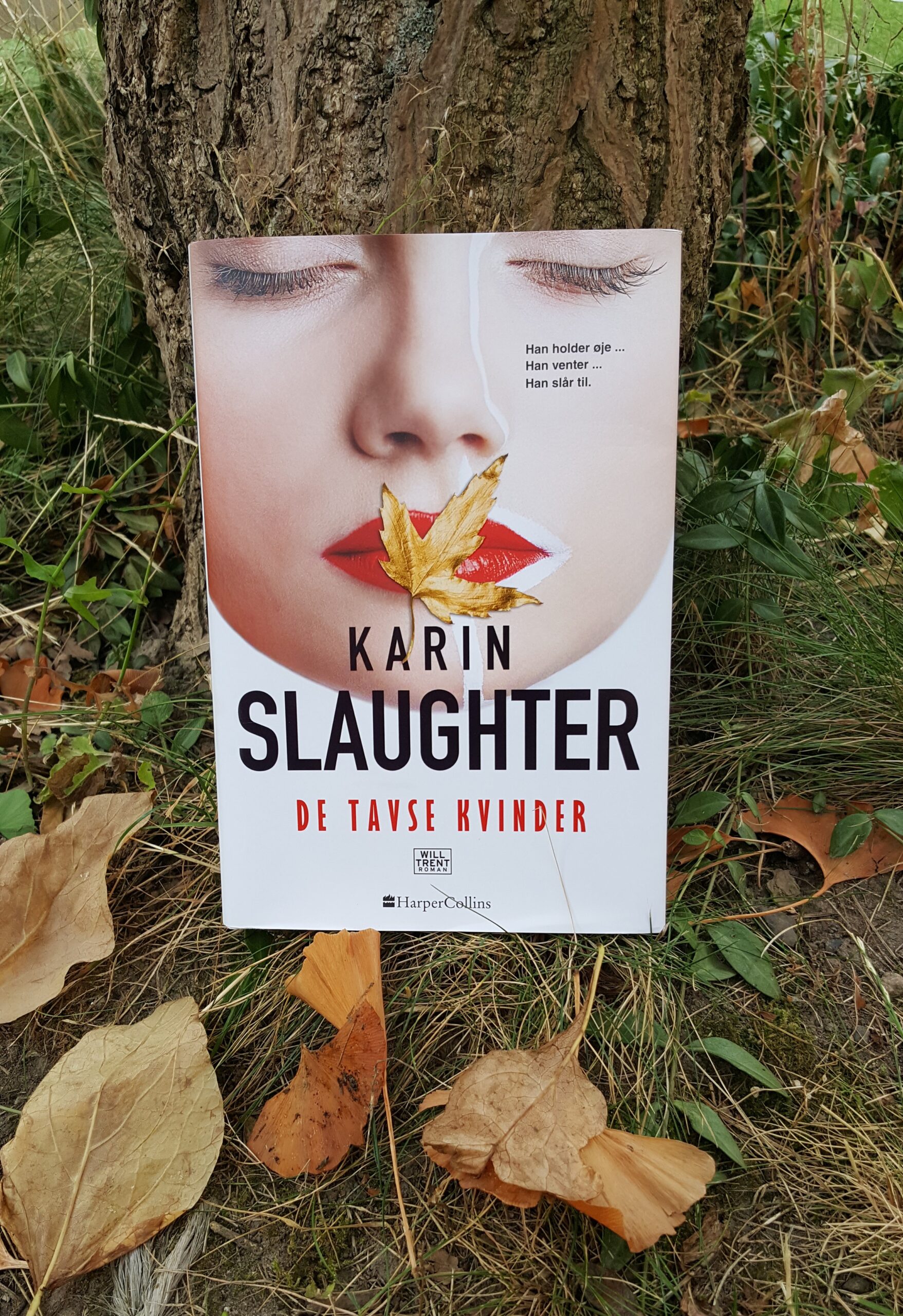 De tavse kvinder af Karin Slaughter