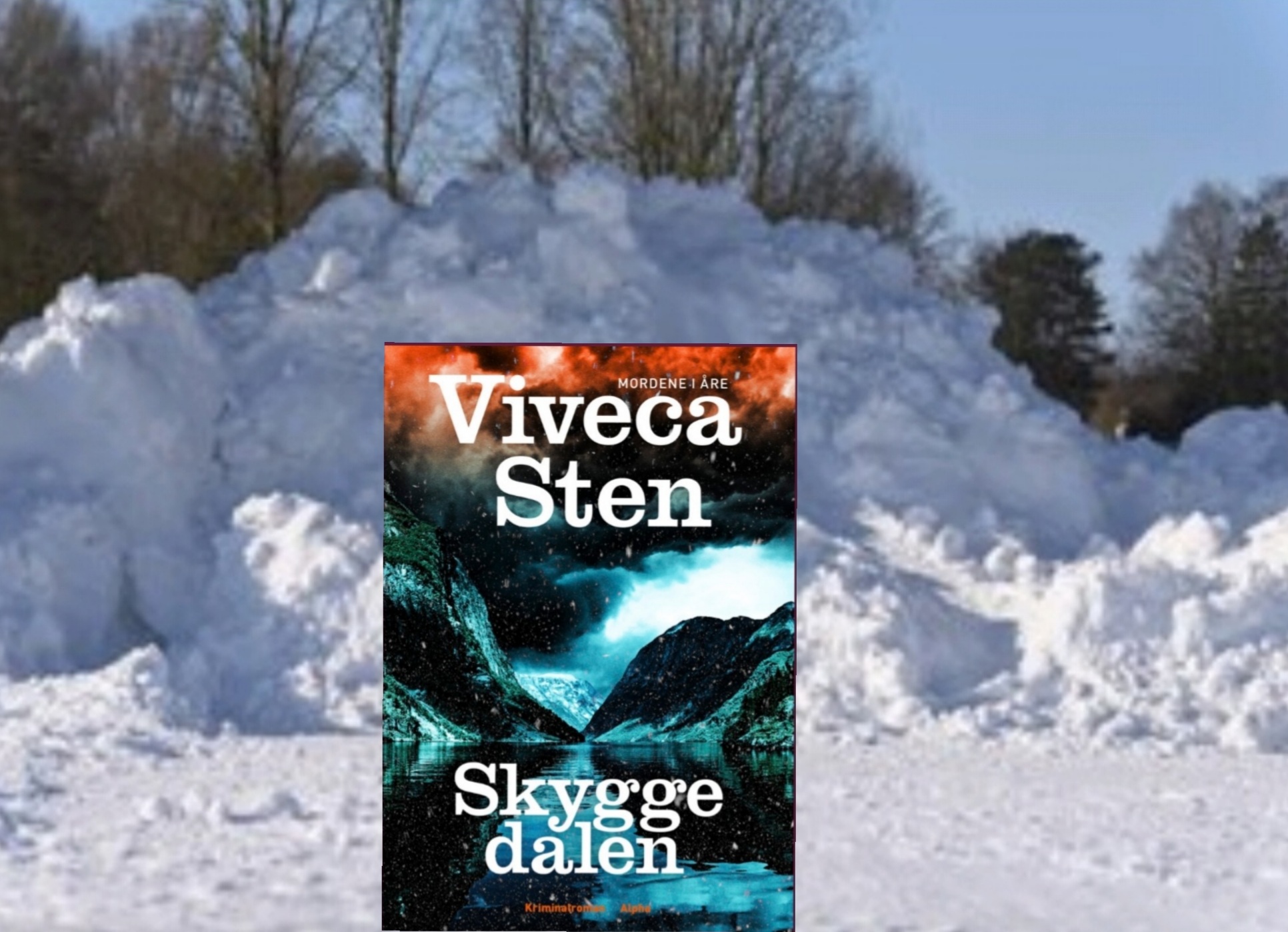 Skyggedalen af Viveca Sten (mordene i Åre #2)