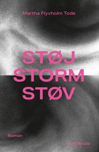 Støj, storm, støv af Martha Flyvholm Tode